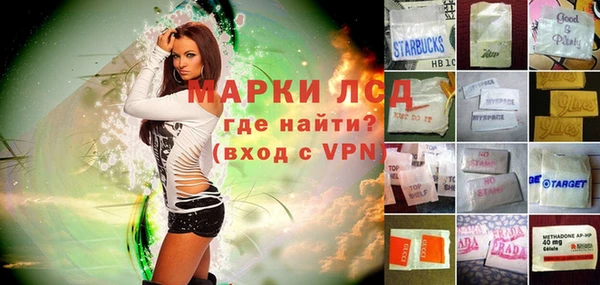 эйфоретик Аркадак